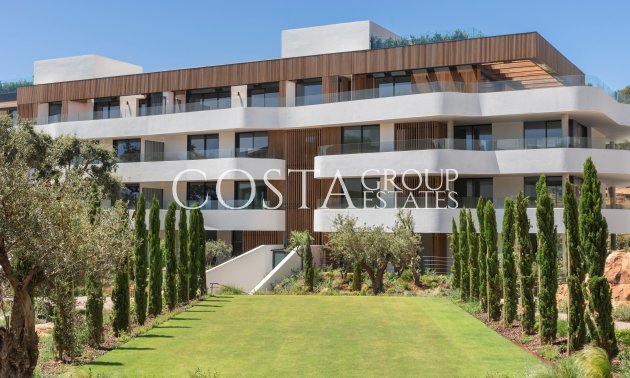 Apartments - Nowy budynek - Pueblo Nuevo - Pueblo Nuevo