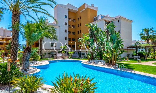 Apartments - Odsprzedaż - Punta Prima - Punta Prima