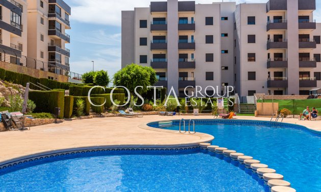 Apartments - Odsprzedaż - San Miguel de Salinas -
                San Miguel de Salinas Centro