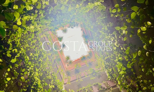 Apartments - Odsprzedaż - Torrevieja - Torrevieja