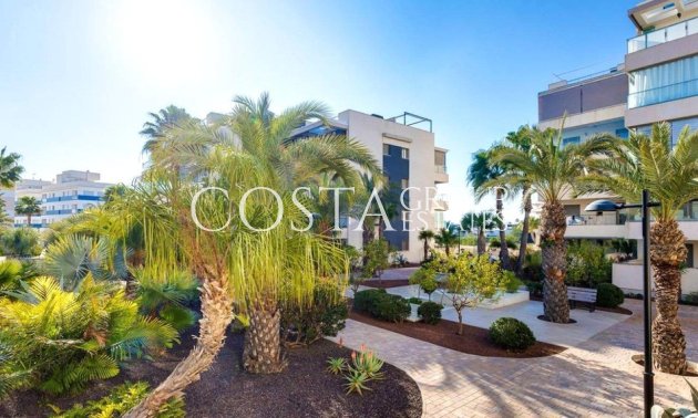 Apartments - Resale - Orihuela - Los Dolses