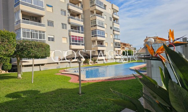 Apartments - Resale - Torrevieja -
                Torrevieja