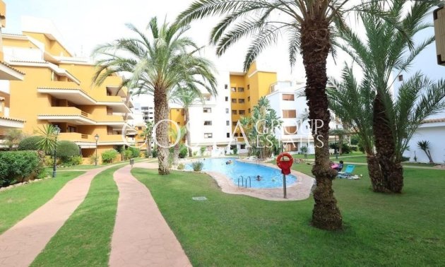 Apartments - Wiederverkauf - Orihuela - Punta Prima