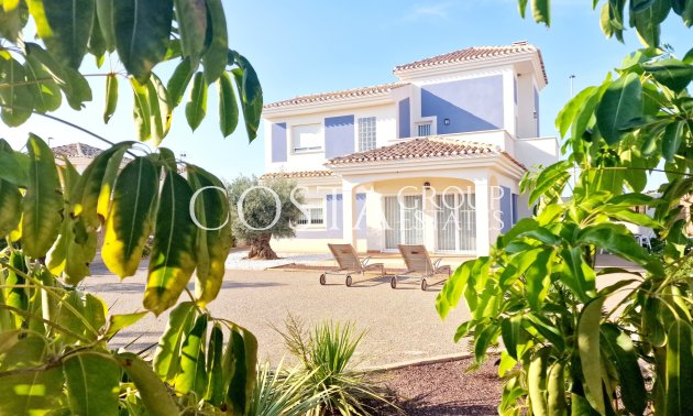 detached - Nowy budynek - Purias - Purias