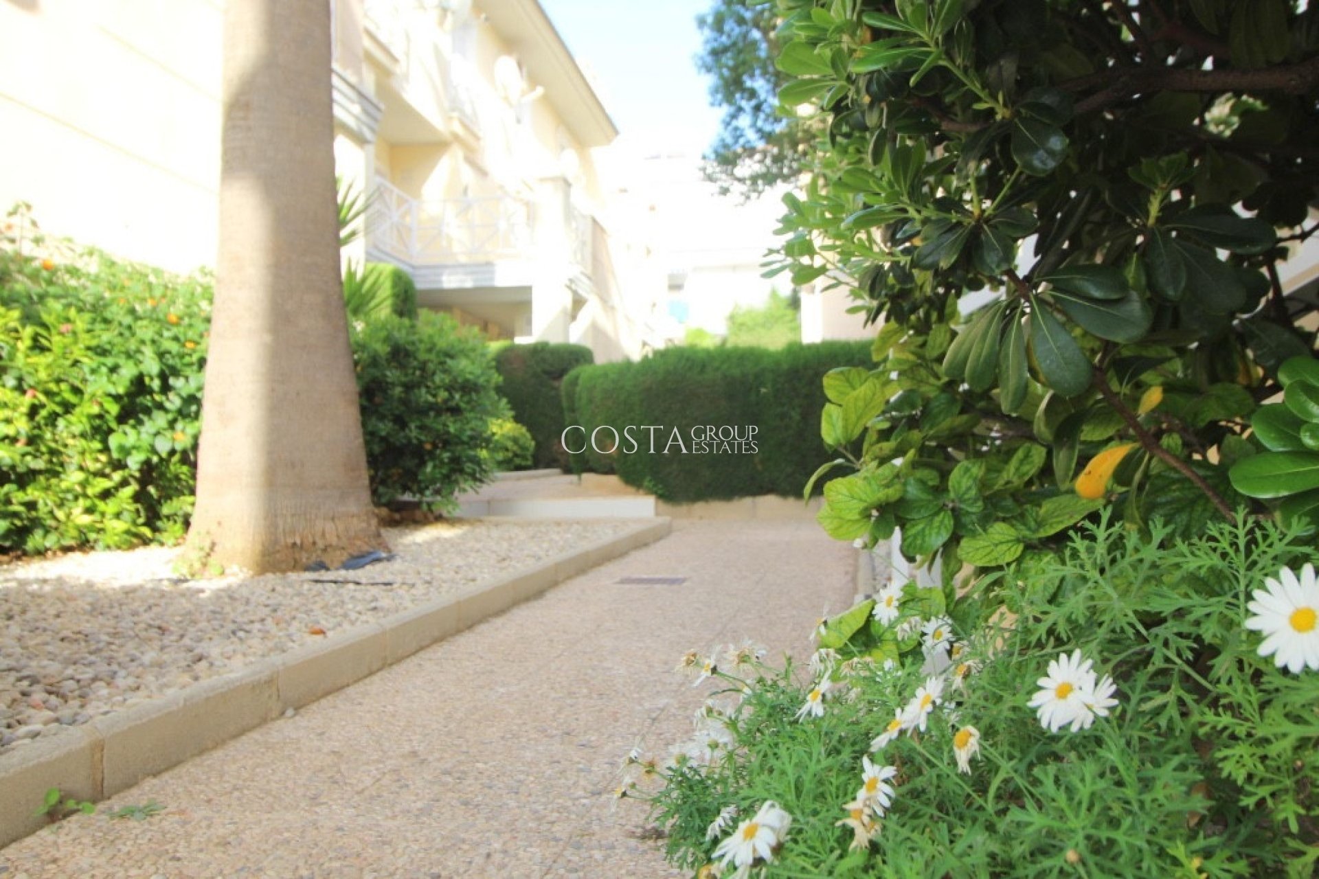 Herverkoop - Apartments -
Torrevieja - La Veleta