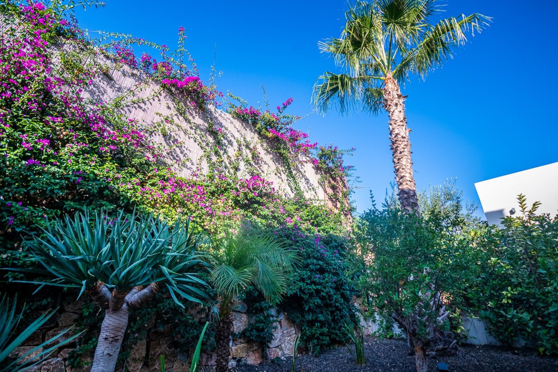 Herverkoop - Villa -
Algorfa - Algorfa Centro