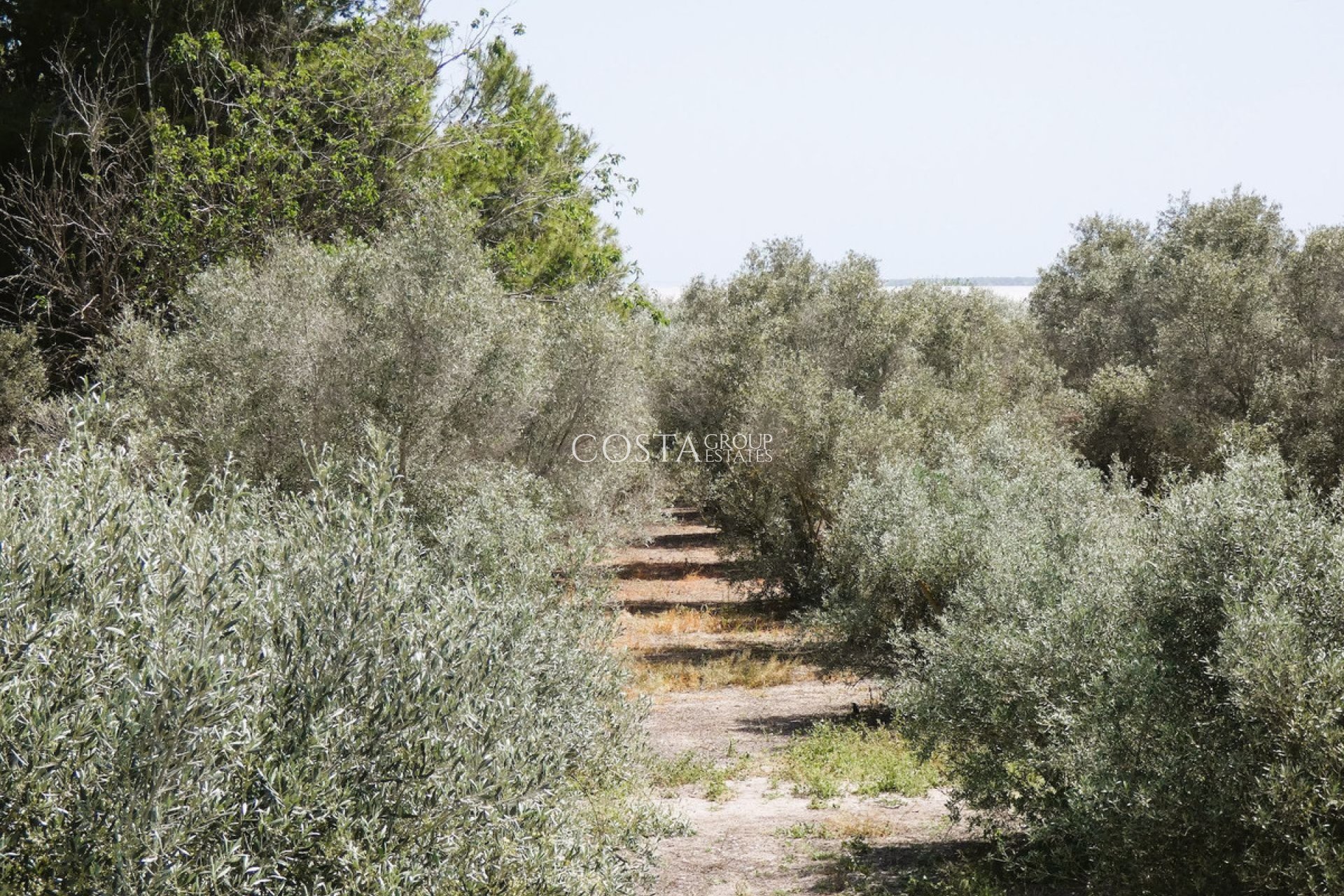 Herverkoop - Villa -
Dolores - Dolores Centro