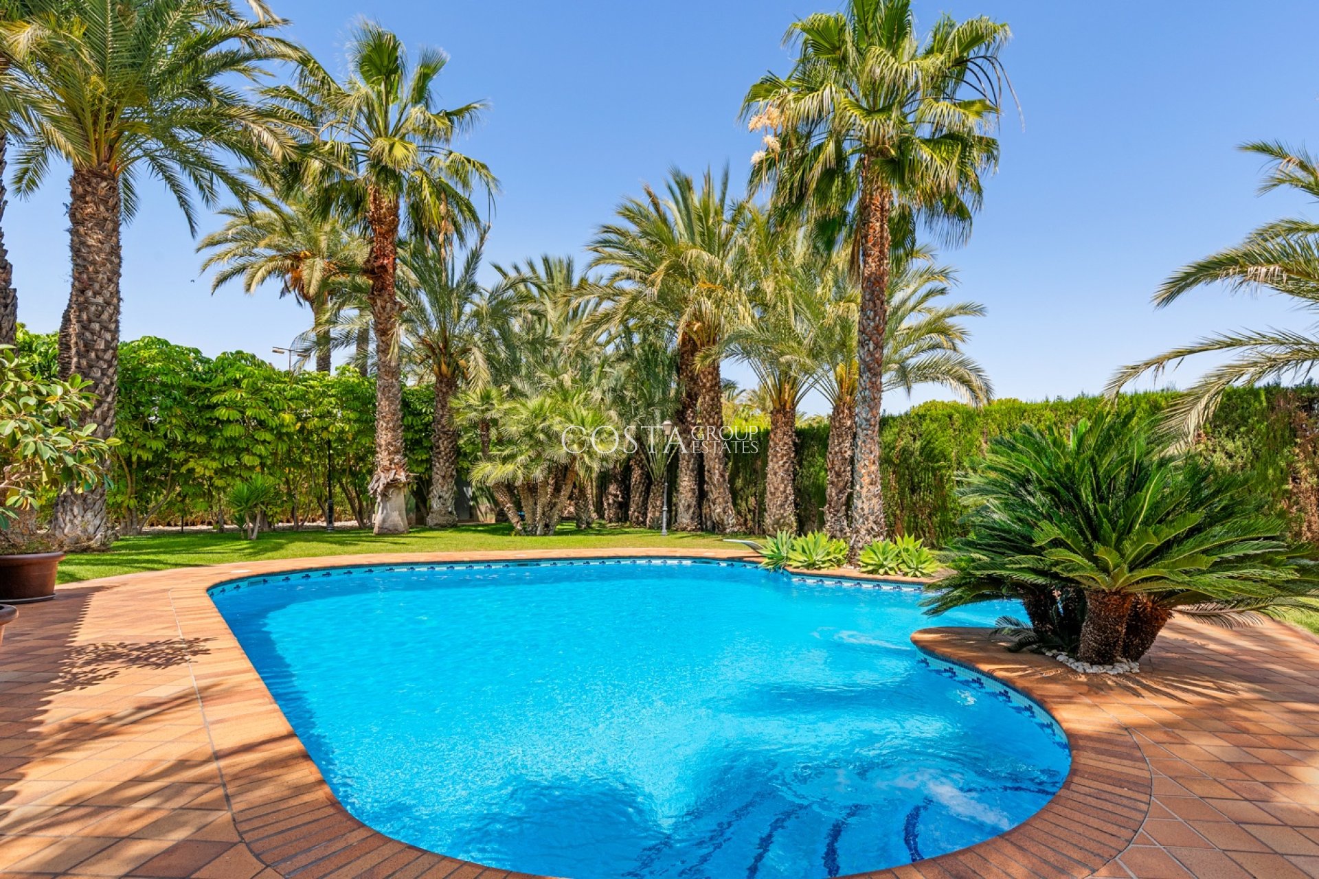 Herverkoop - Villa -
Elche