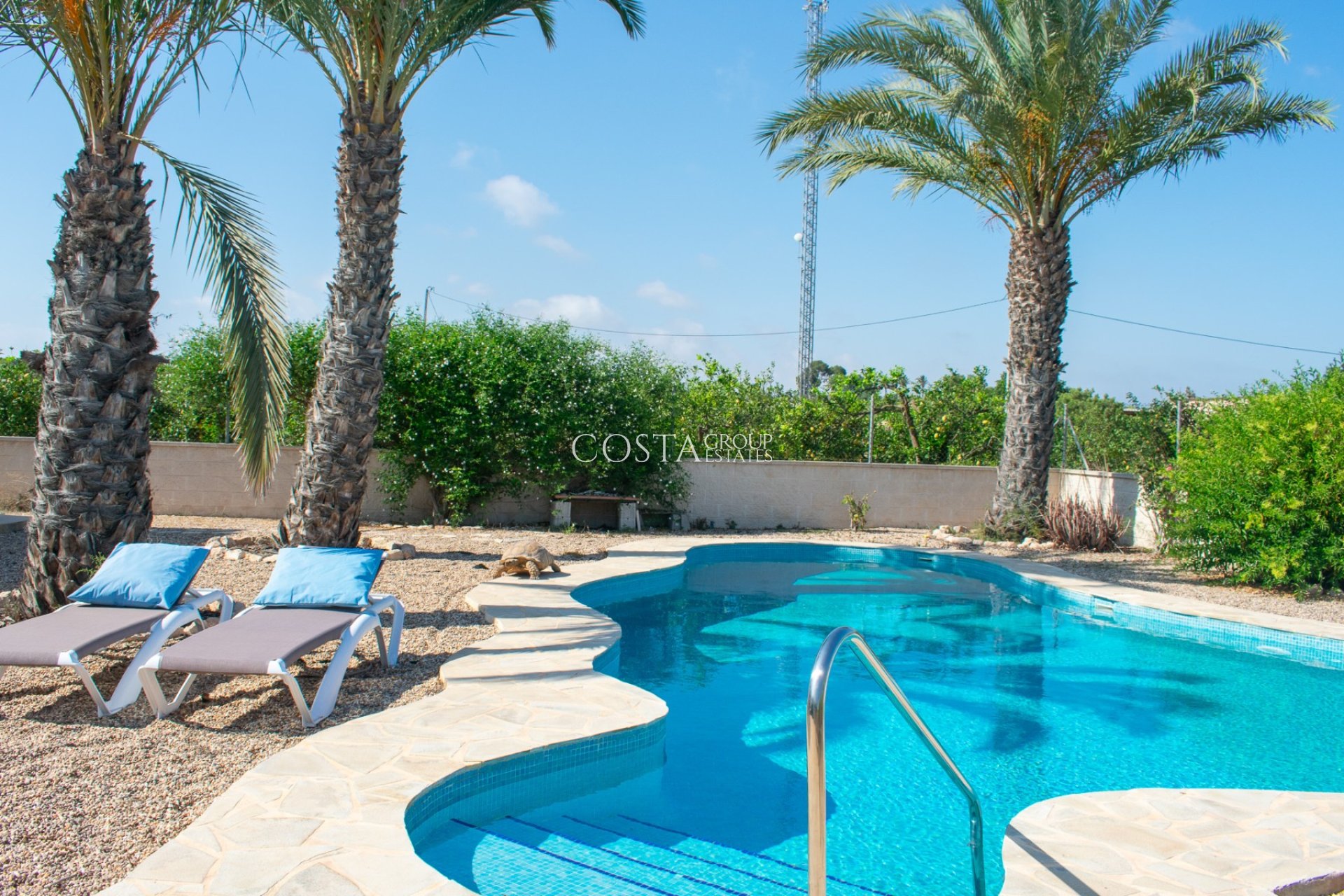 Herverkoop - Villa -
Guardamar del Segura - El Raso