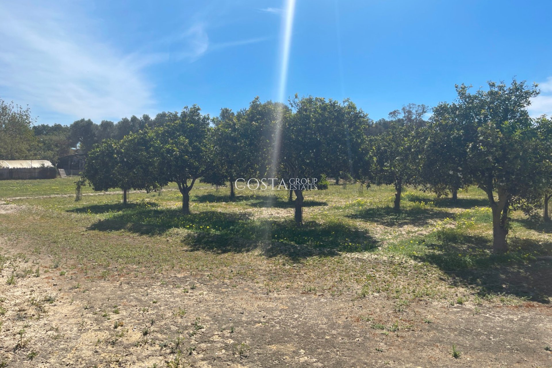 Herverkoop - Villa -
Guardamar del Segura - Guardamar del Segura Centro