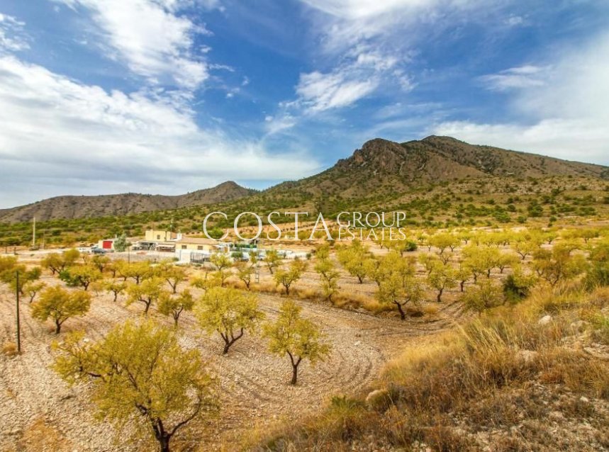 Herverkoop - Villa -
Jumilla - Jumilla Centro