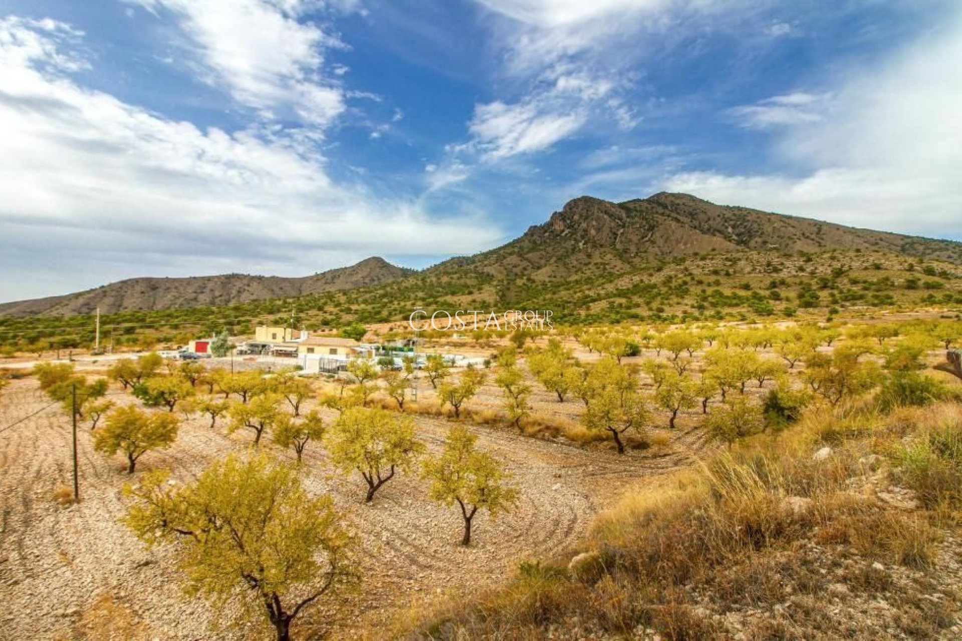 Herverkoop - Villa -
Jumilla - Jumilla Centro