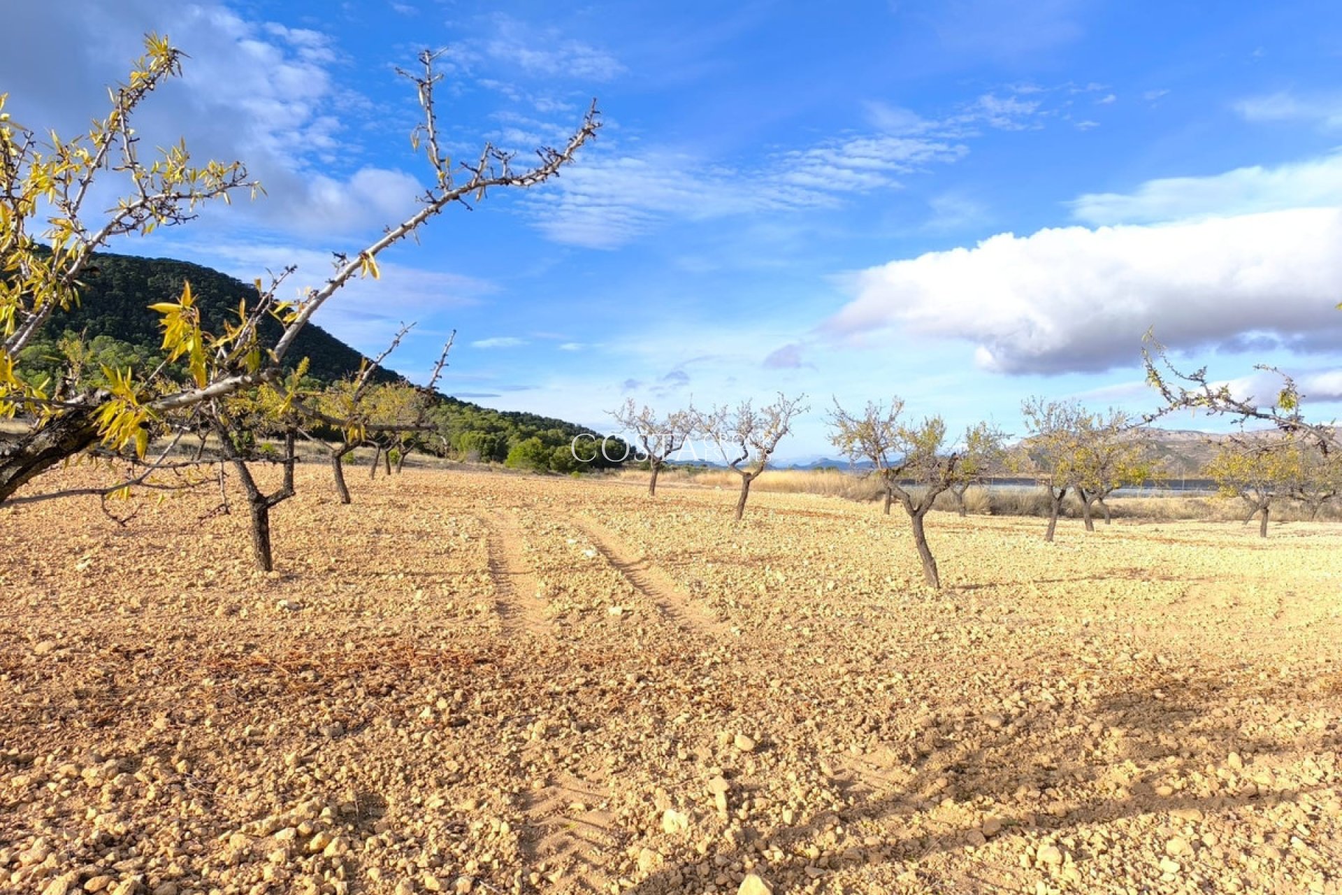 Herverkoop - Villa -
Yecla - Yecla Centro