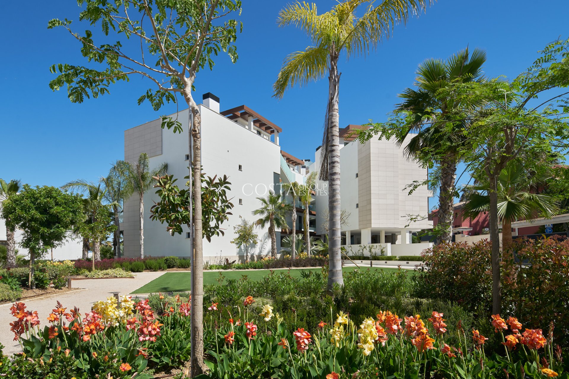 Neue Gebäude - Apartments -
Estepona