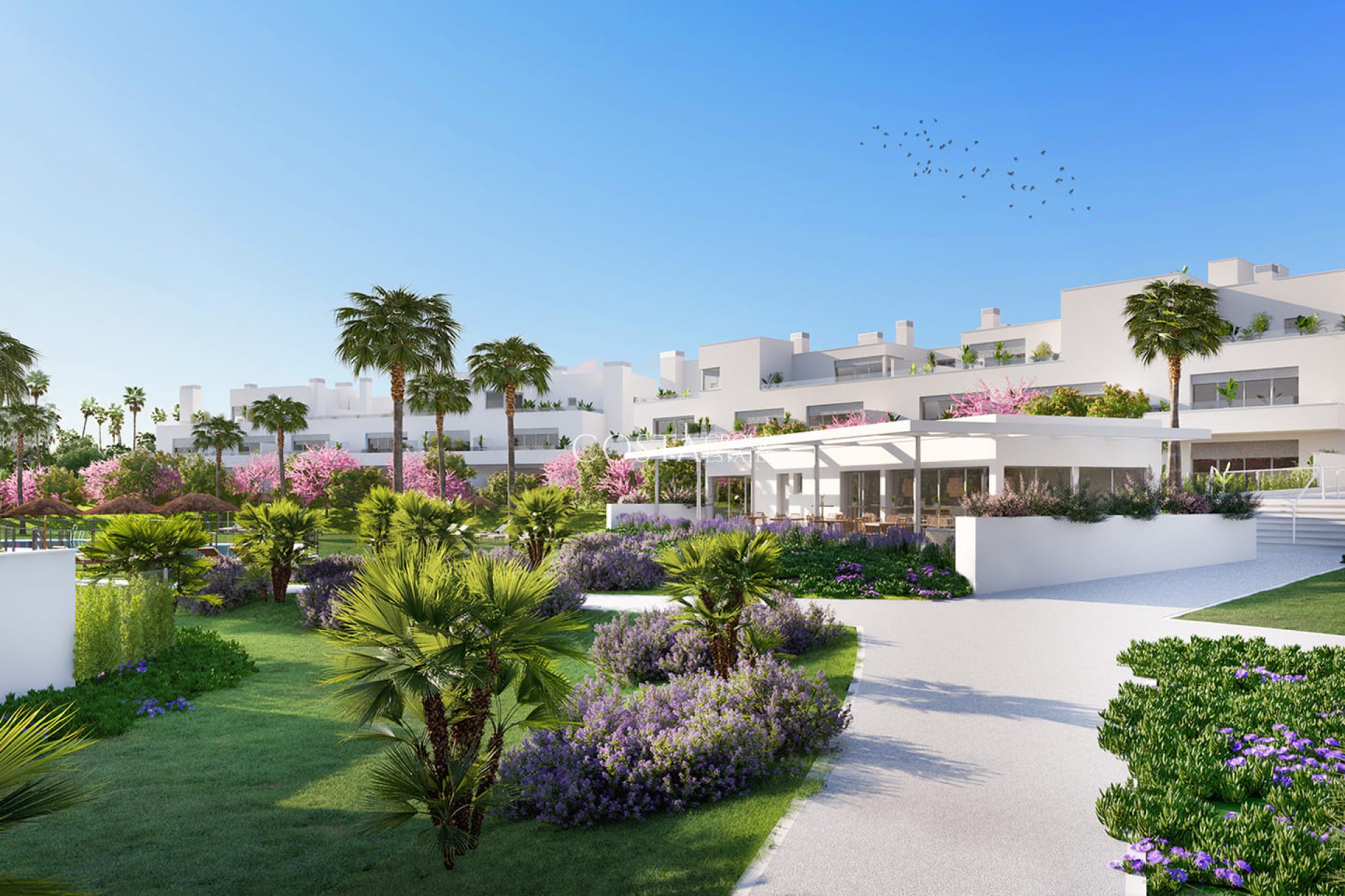 Neue Gebäude - Apartments -
Estepona