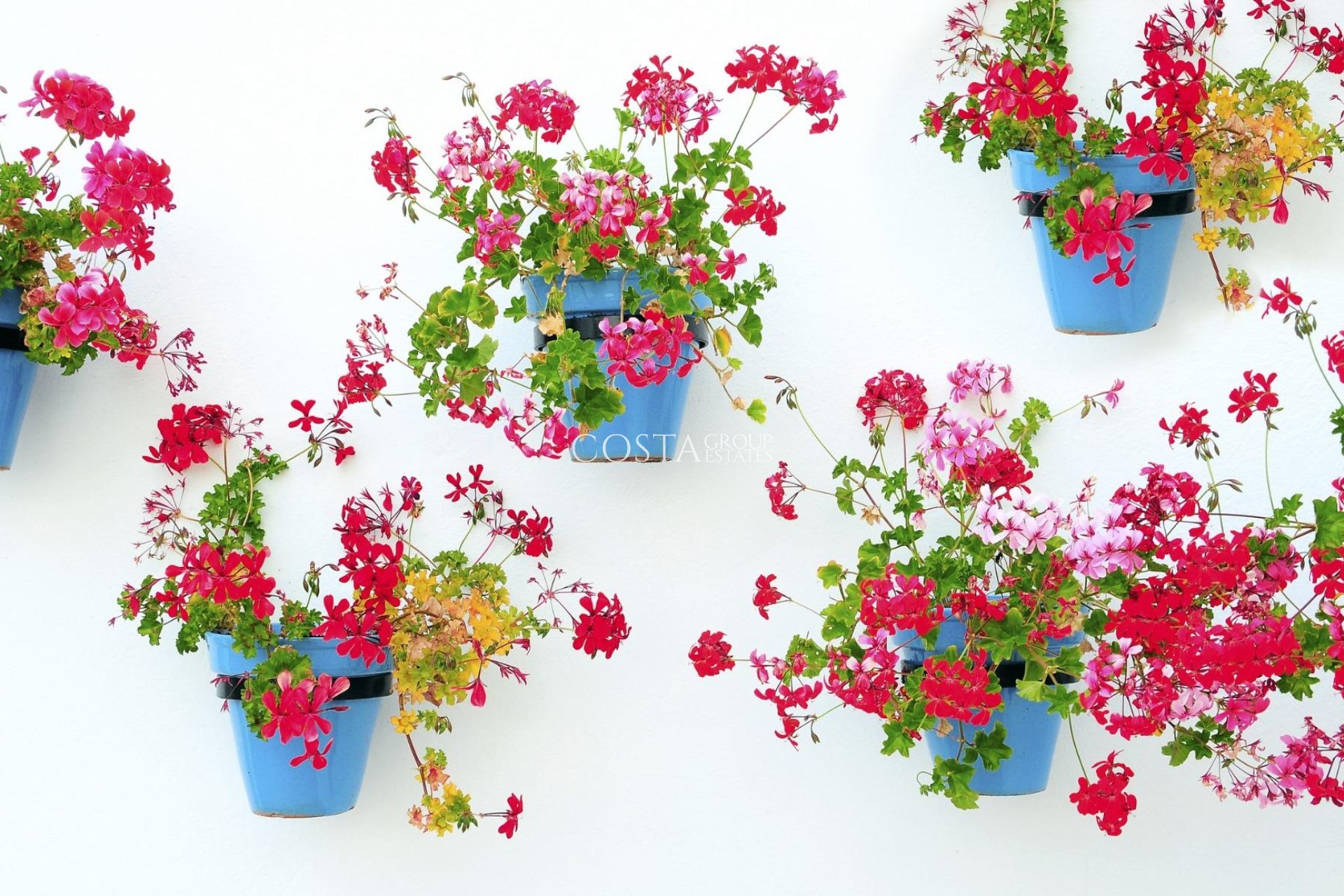 Neue Gebäude - Apartments -
Mijas - La Noria Golf