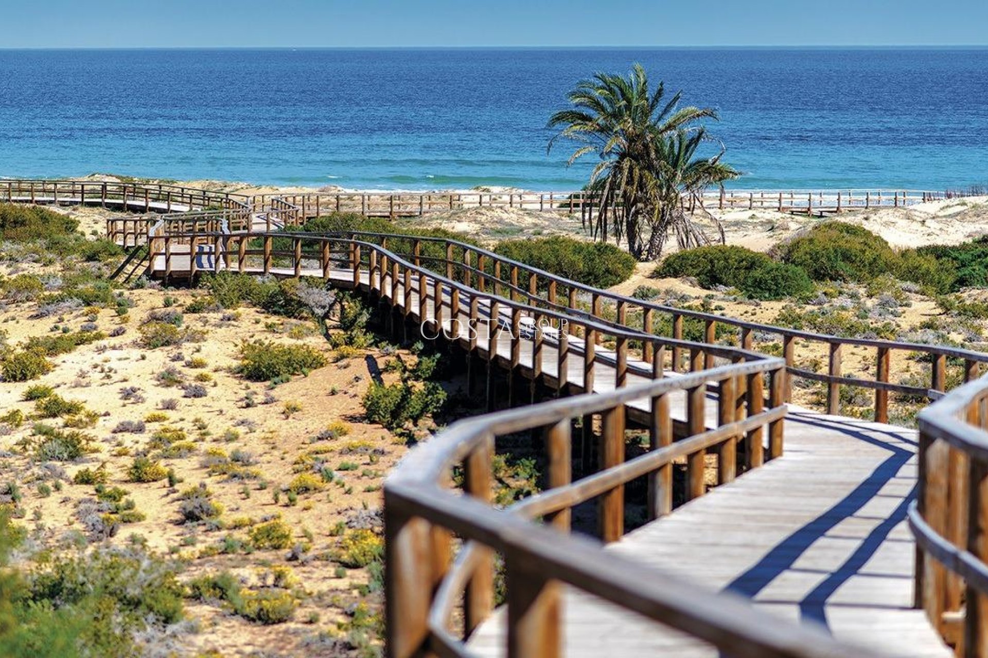 Neue Gebäude - Apartments -
Monforte del Cid