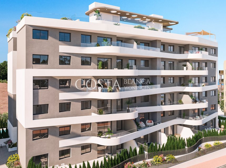 Neue Gebäude - Apartments -
Torrevieja - Punta Prima