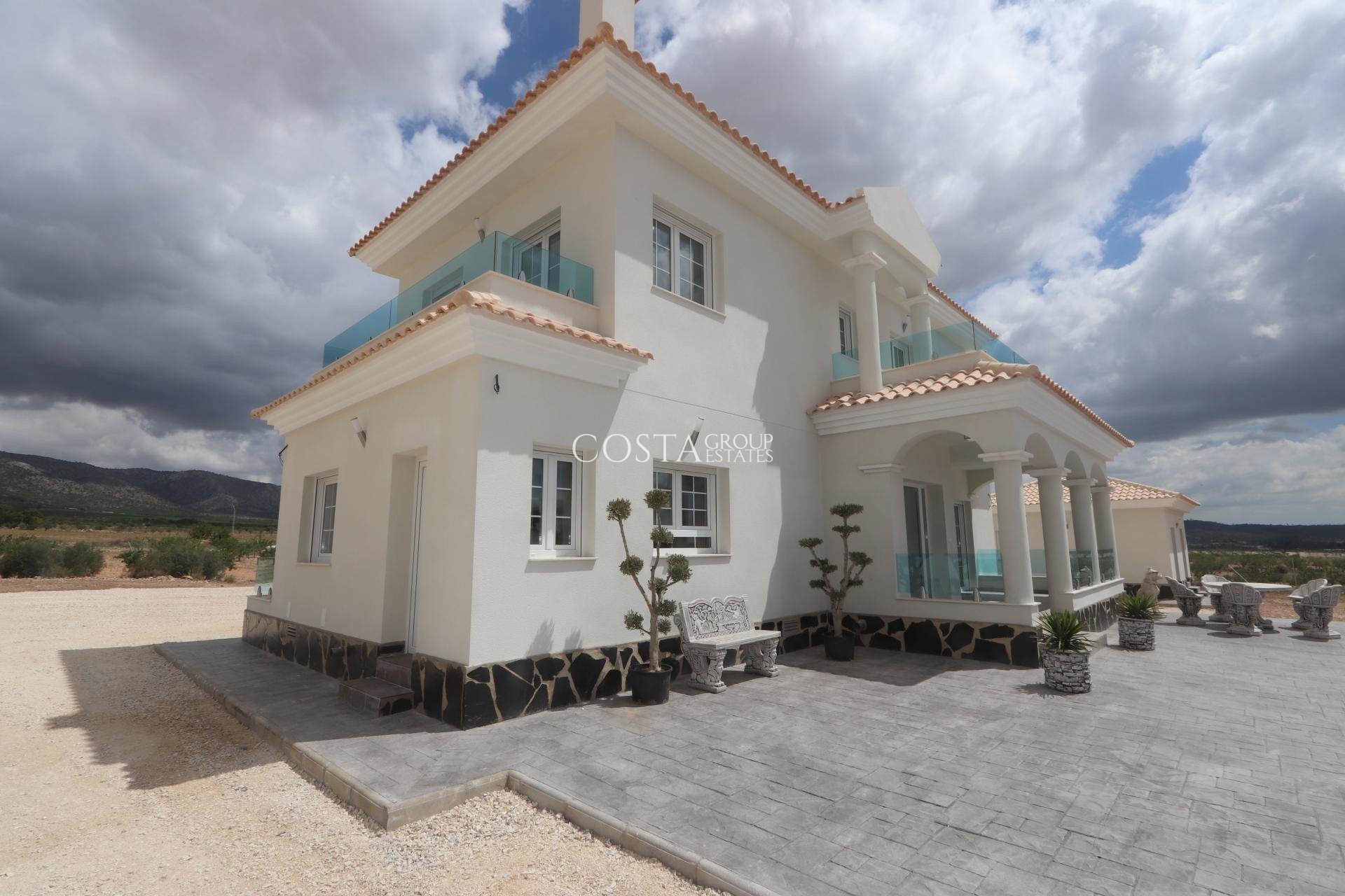 Neue Gebäude - Villa -
Pinoso