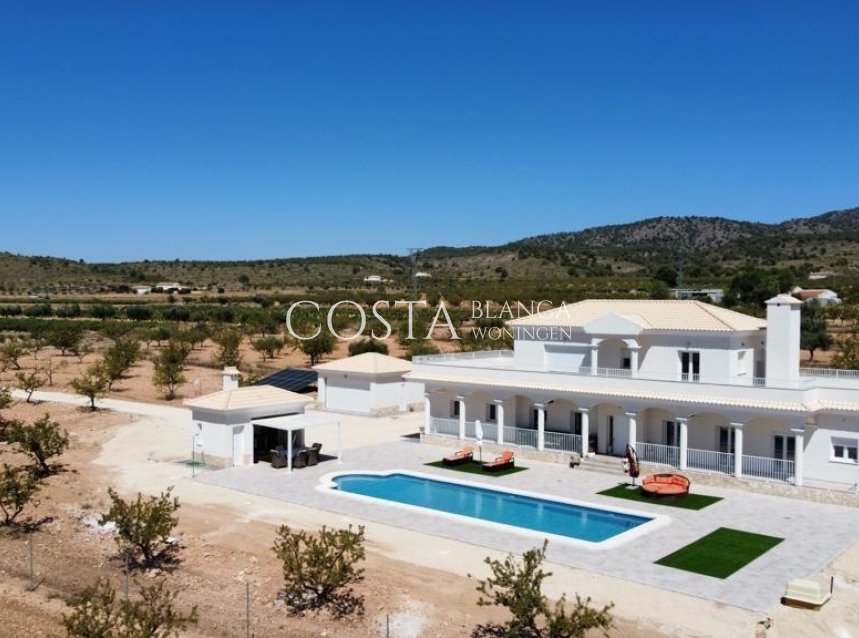 Neue Gebäude - Villa -
Pinoso