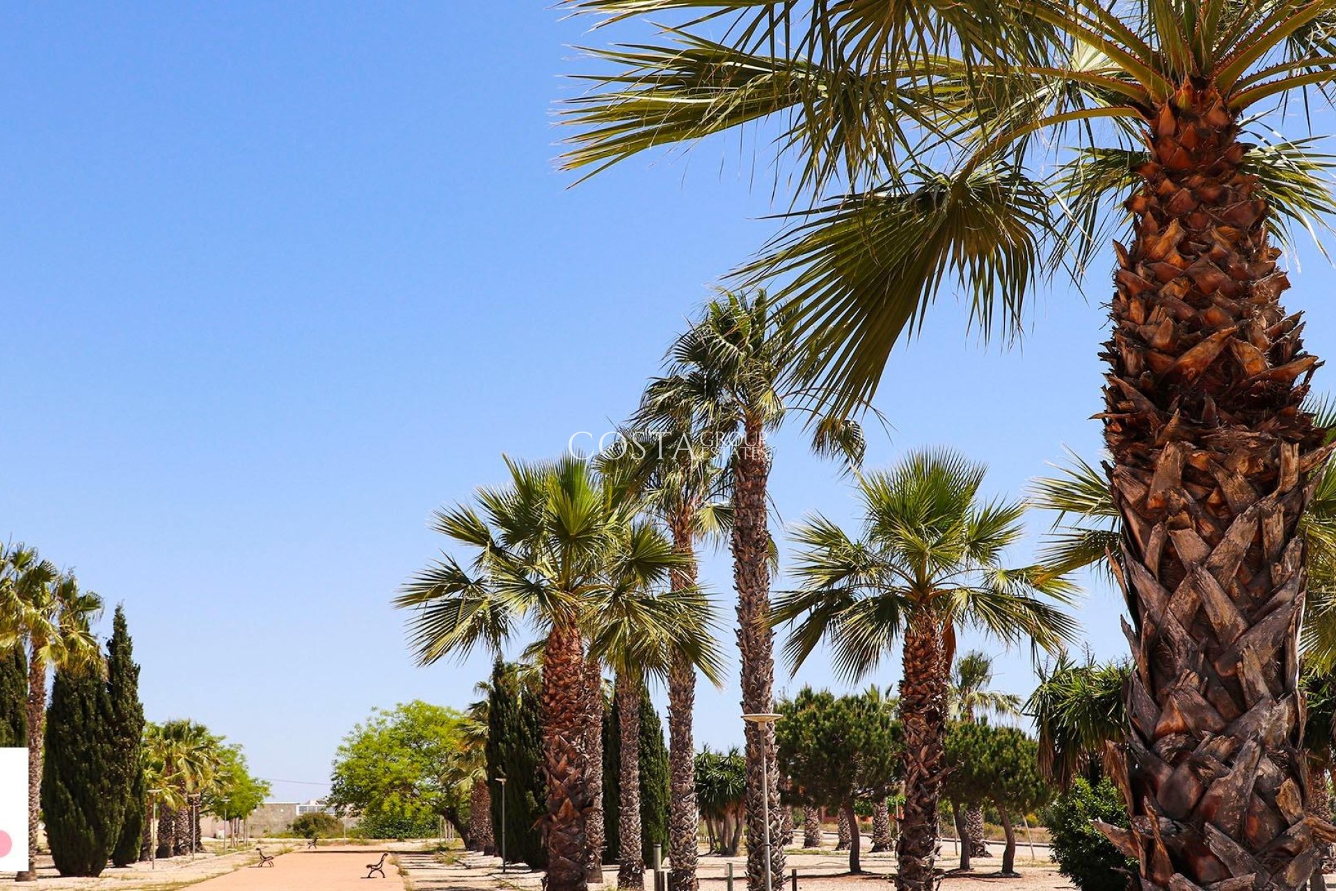 Neue Gebäude - Villa -
San Fulgencio - La Escuera