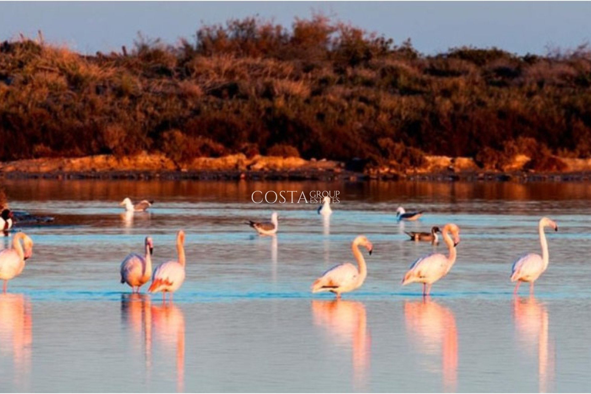 Neue Gebäude - Villa -
San Pedro del Pinatar - San Pedro Del Pinatar