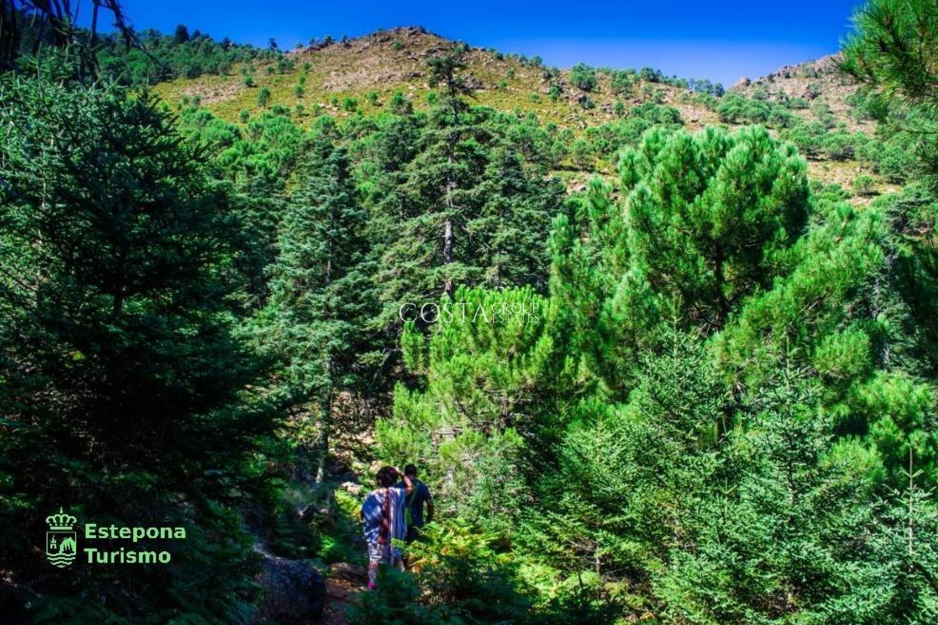 New Build - Apartments -
Estepona - Playa de La Rada