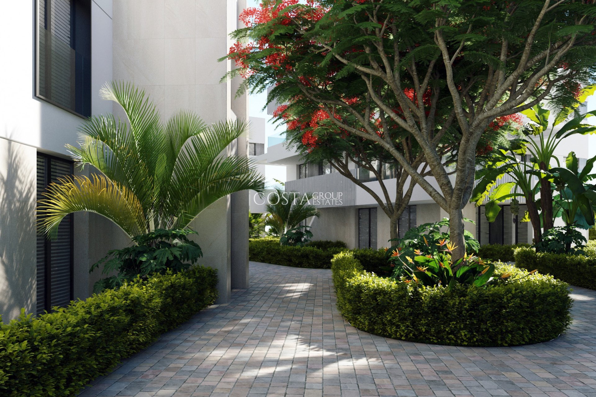 New Build - Apartments -
Santa Rosalia