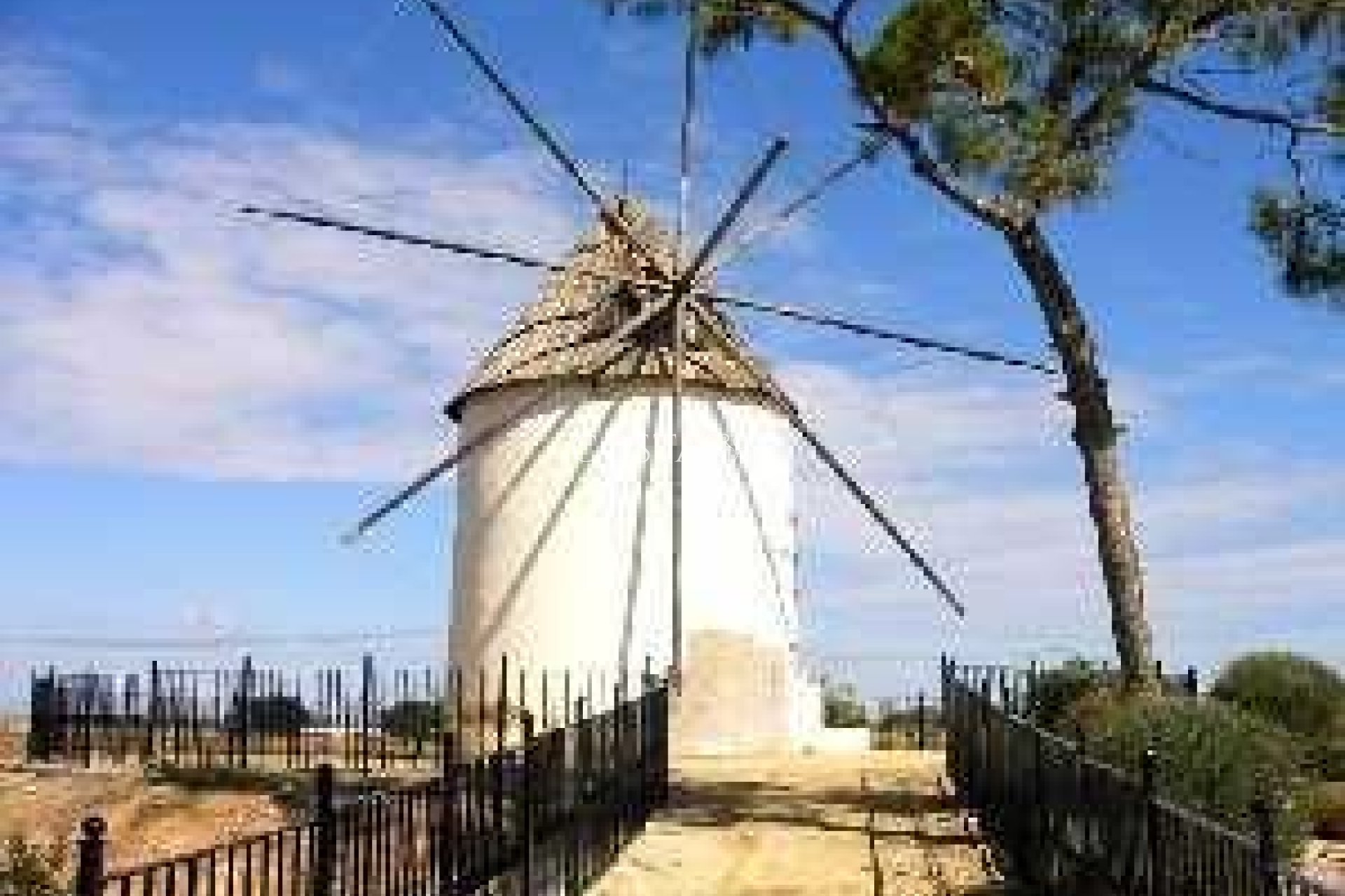 New Build - Semidetached -
Torre Pacheco - Torre-pacheco