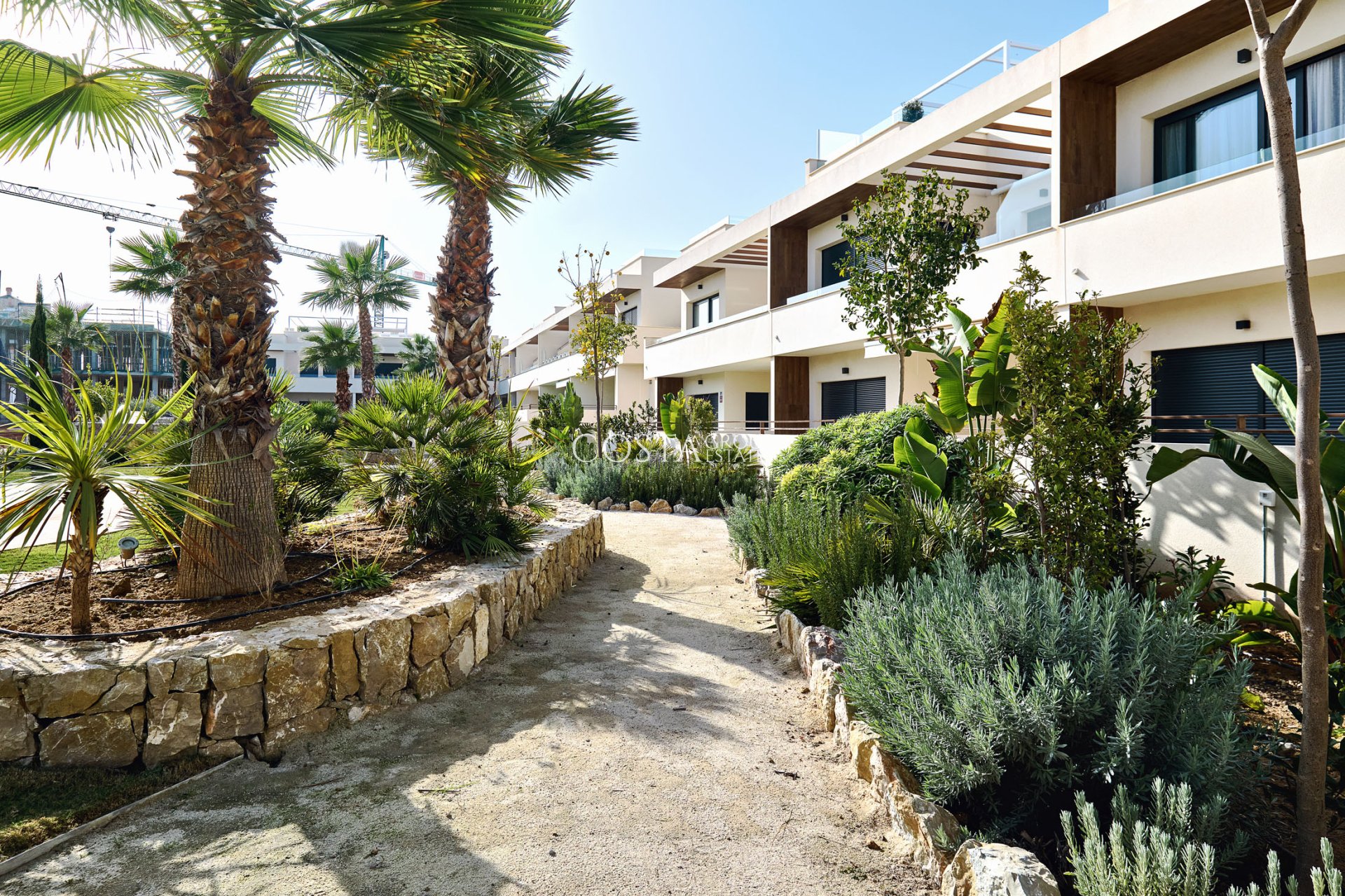 Nieuwbouw Woningen - Apartments -
Torrevieja