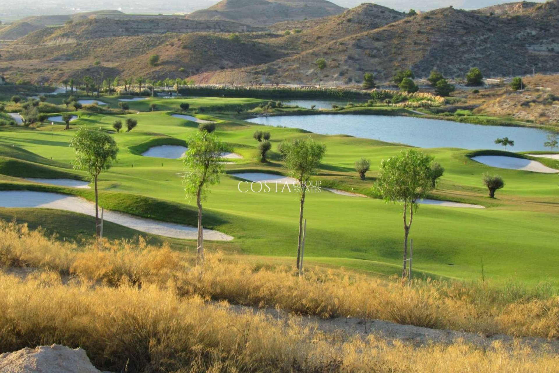 Nieuwbouw Woningen - Villa -
Monforte del Cid