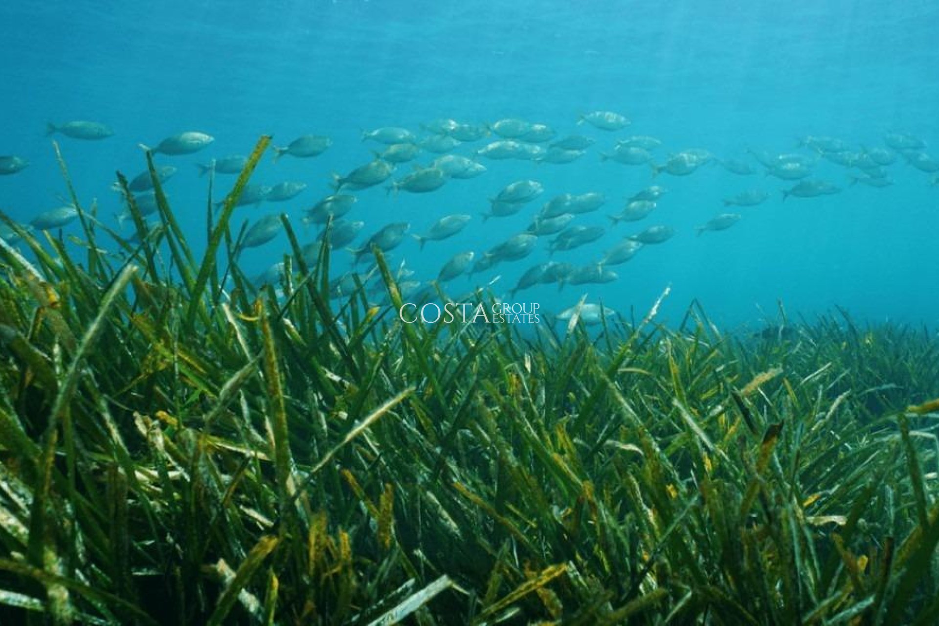 Nouvelle construction - Villa -
Benissa