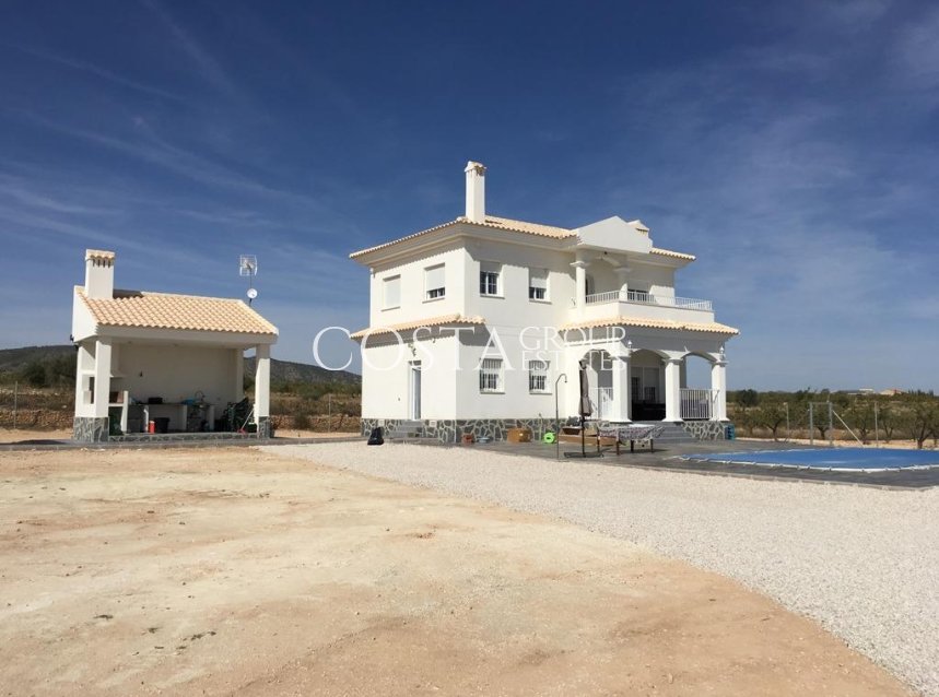 Nouvelle construction - Villa -
Pinoso