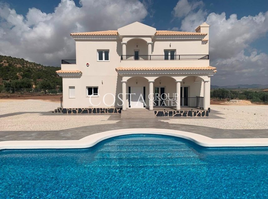 Nouvelle construction - Villa -
Pinoso