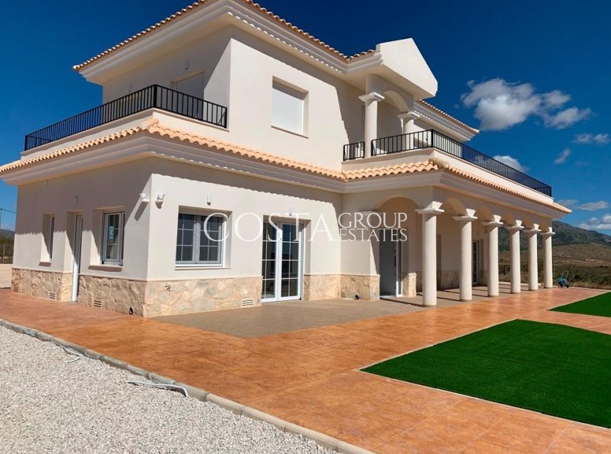 Nouvelle construction - Villa -
Pinoso