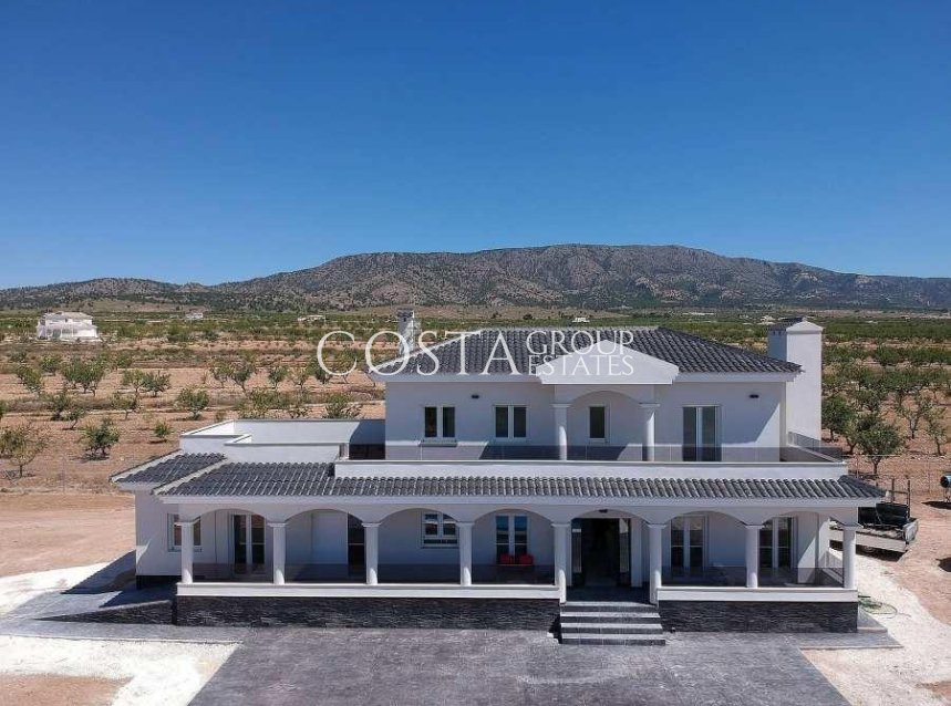 Nouvelle construction - Villa -
Pinoso