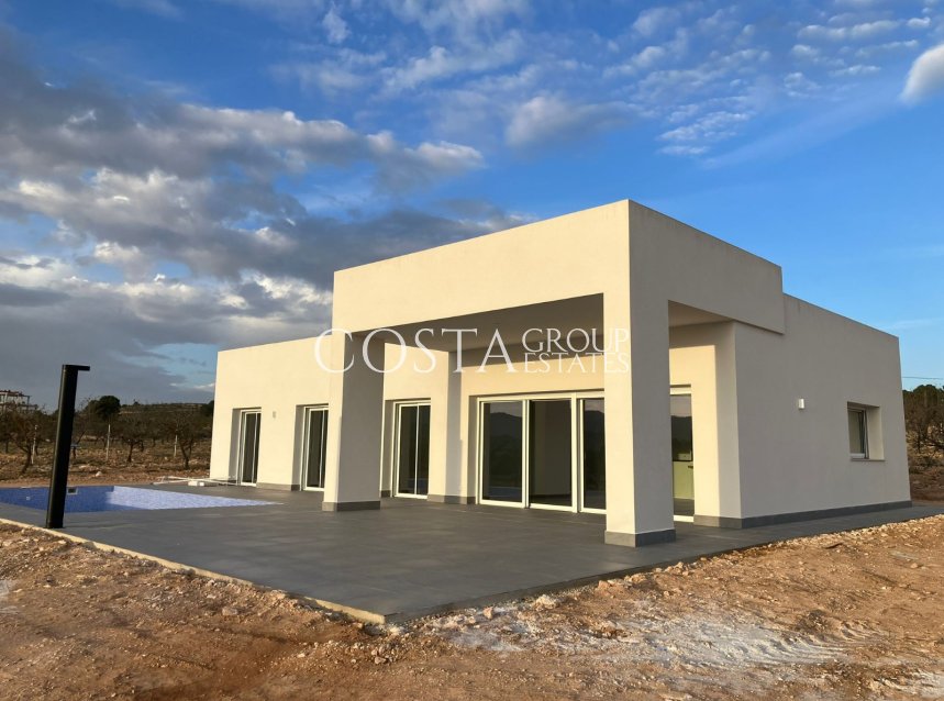Nouvelle construction - Villa -
Pinoso