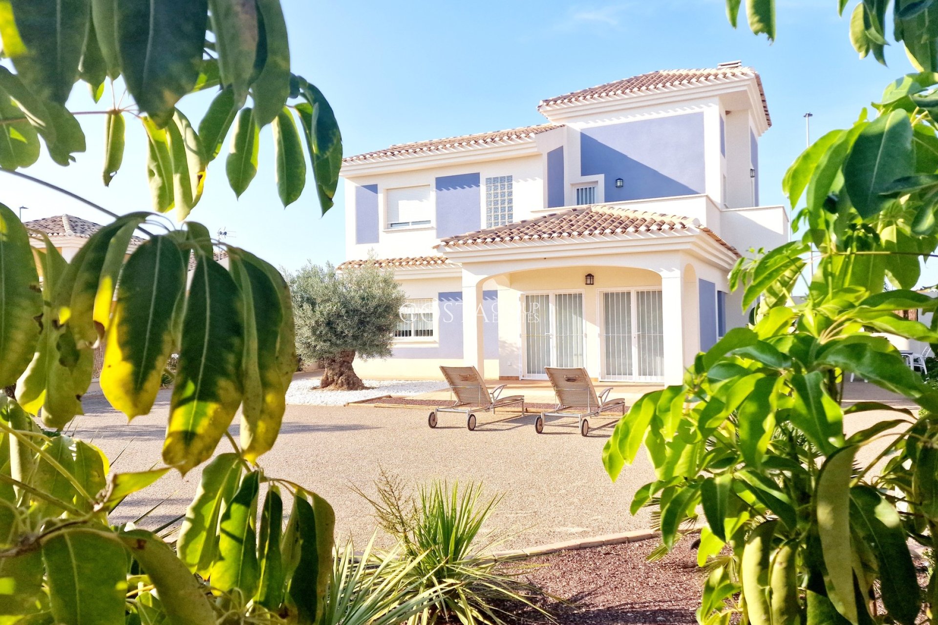 Nouvelle construction - Villa -
Purias