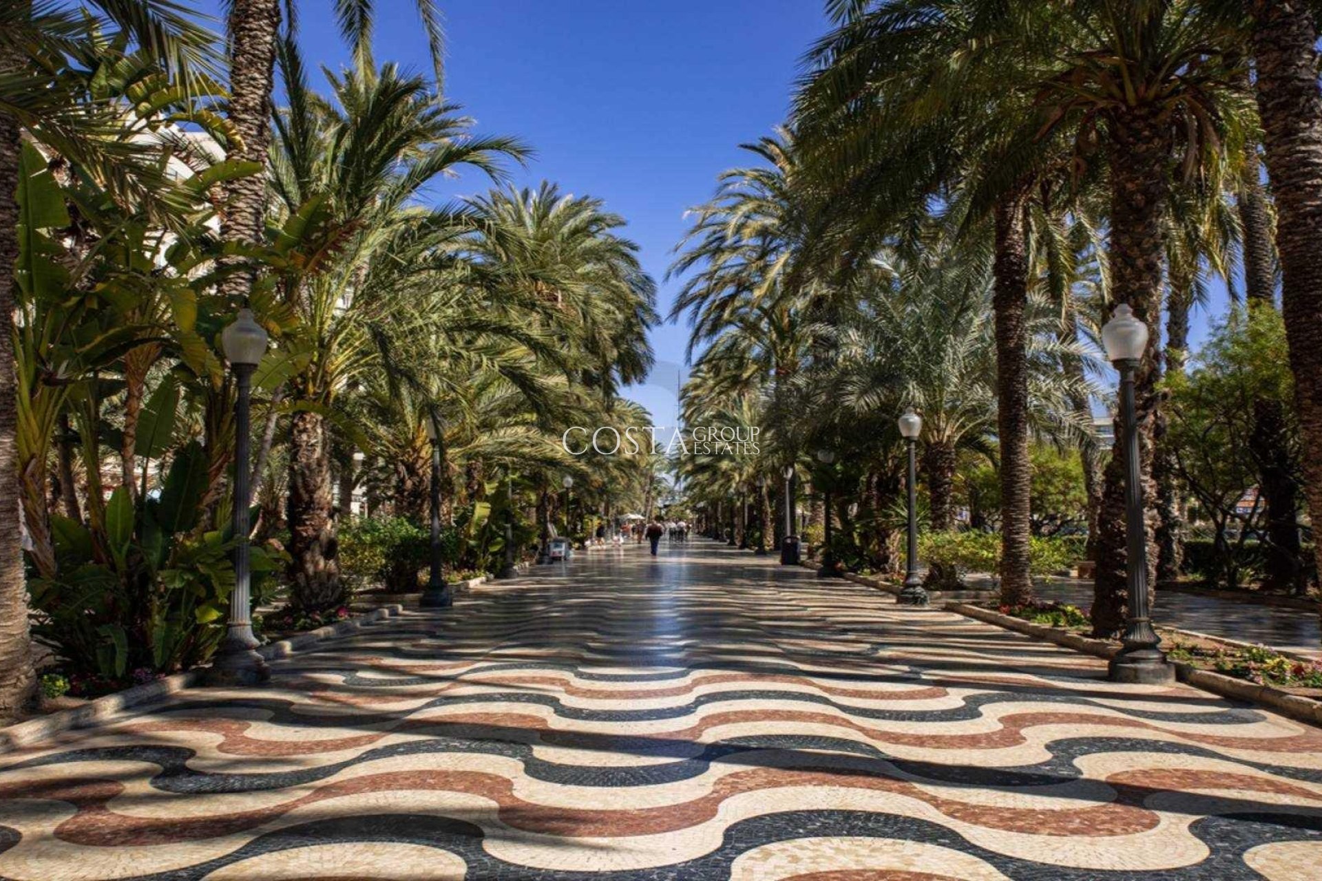 Nowy budynek - Ground floor apartment -
Alicante - Centro