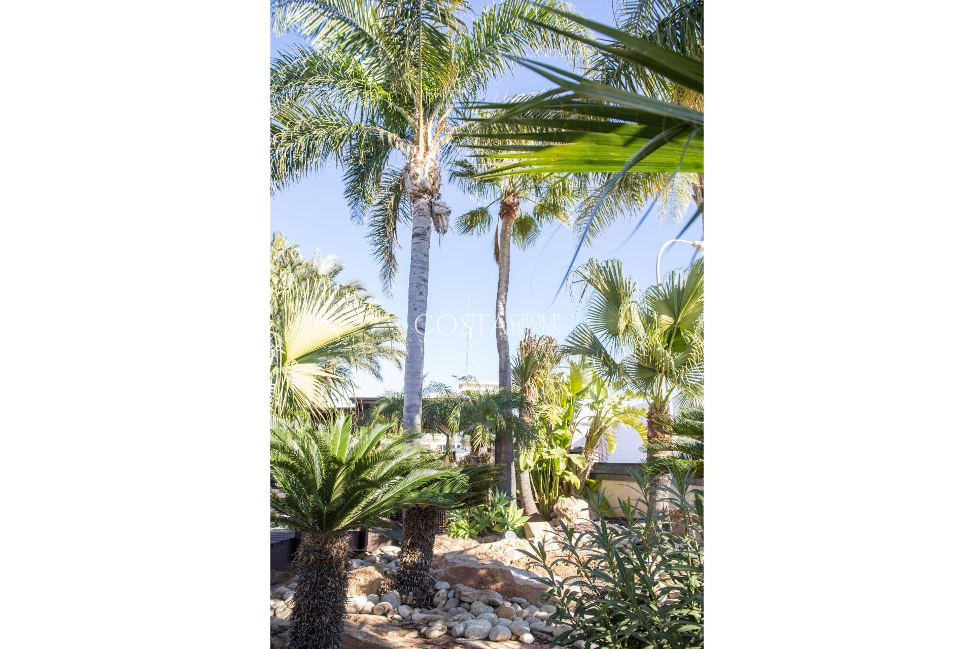 Nowy budynek - Willa -
San Pedro del Pinatar - San Pedro Del Pinatar