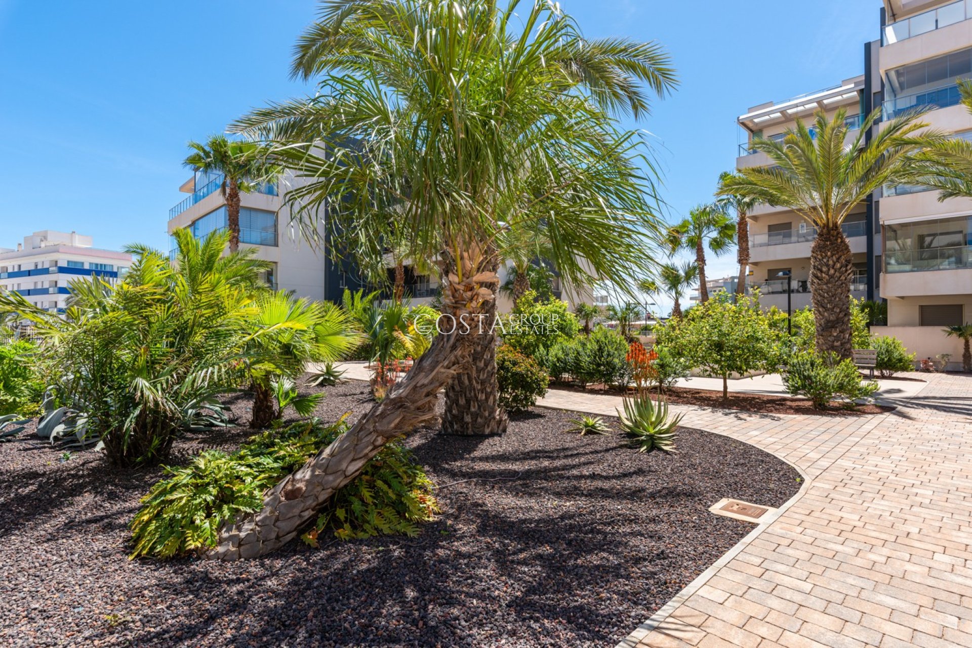 Odsprzedaż - Apartments -
Orihuela Costa - Los Dolses