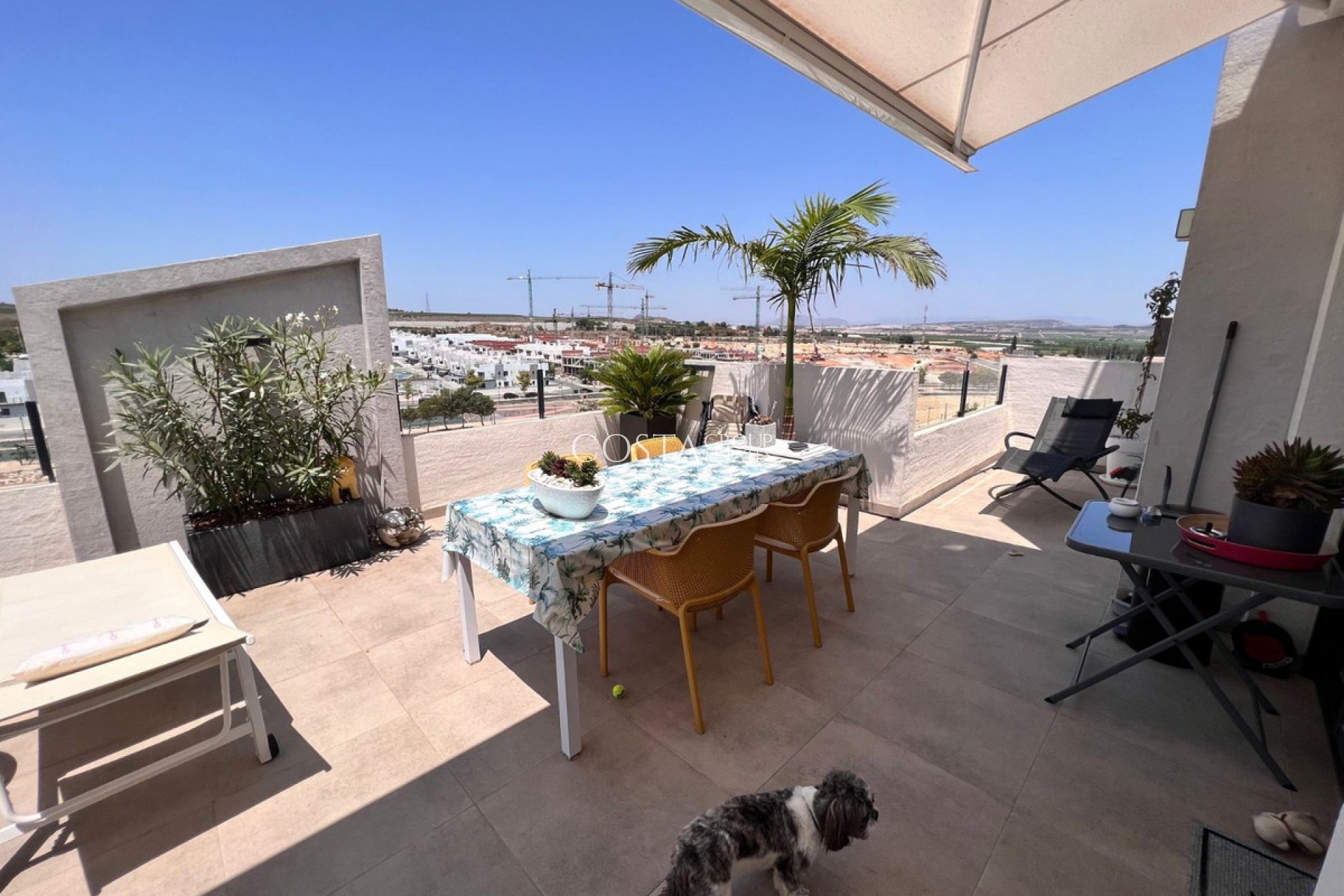 Odsprzedaż - Apartments -
San Miguel de Salinas - San Miguel de Salinas Centro