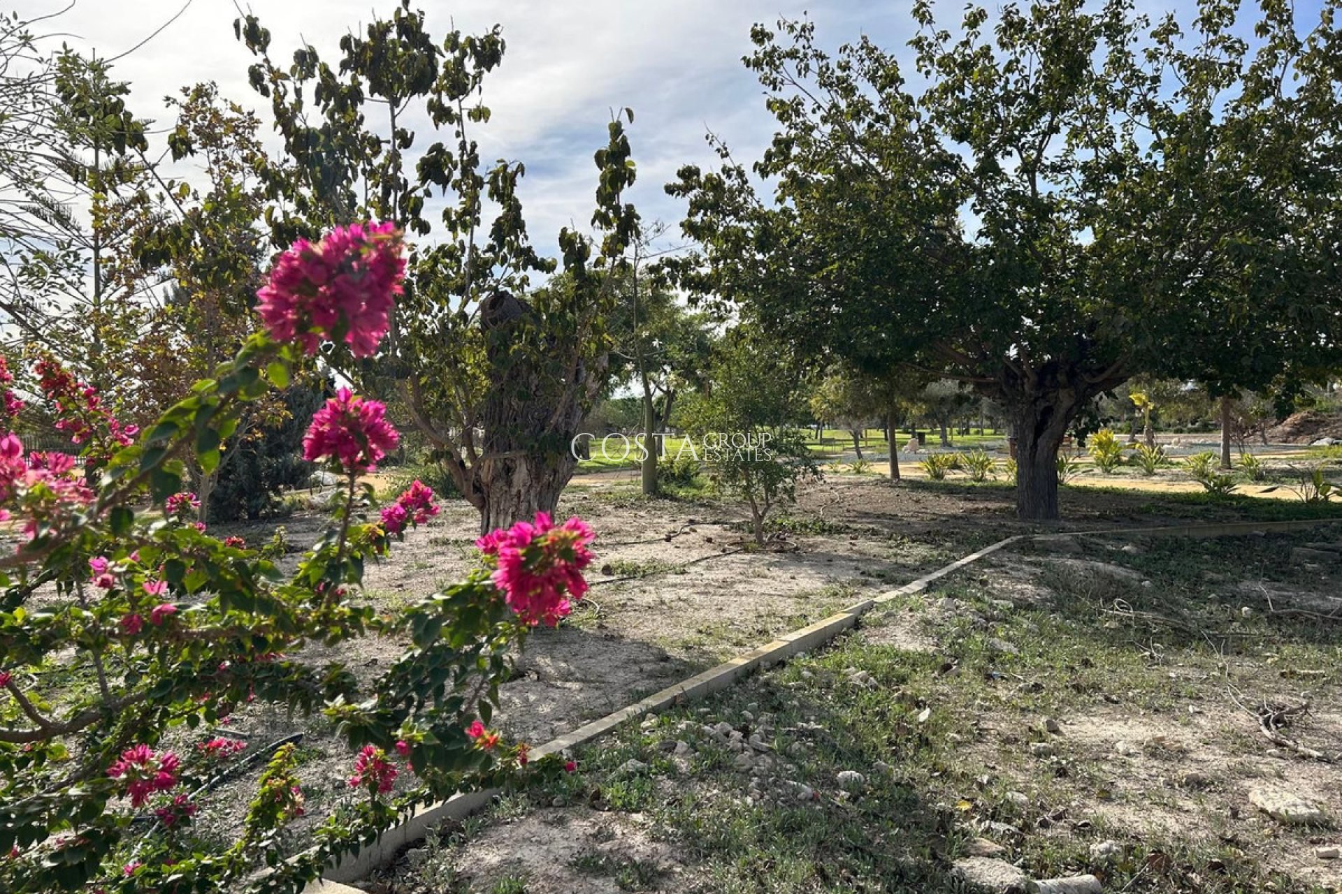 Odsprzedaż - Dom -
Dolores - Dolores Centro