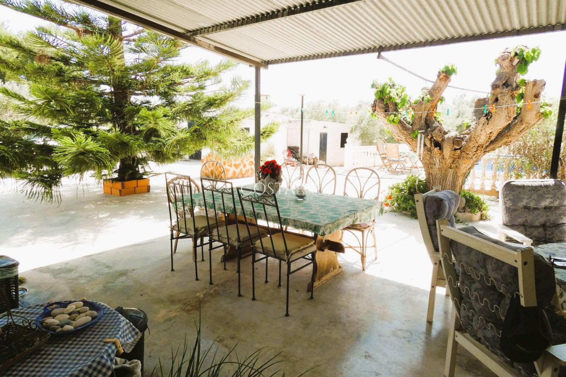 Odsprzedaż - Willa -
Dolores - Dolores Centro