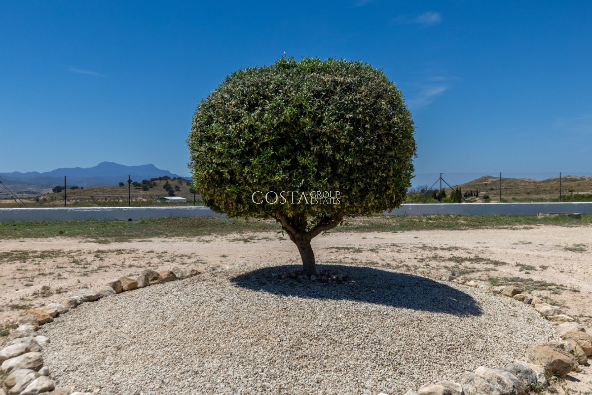 Odsprzedaż - Willa -
Jumilla - Torre del Rico