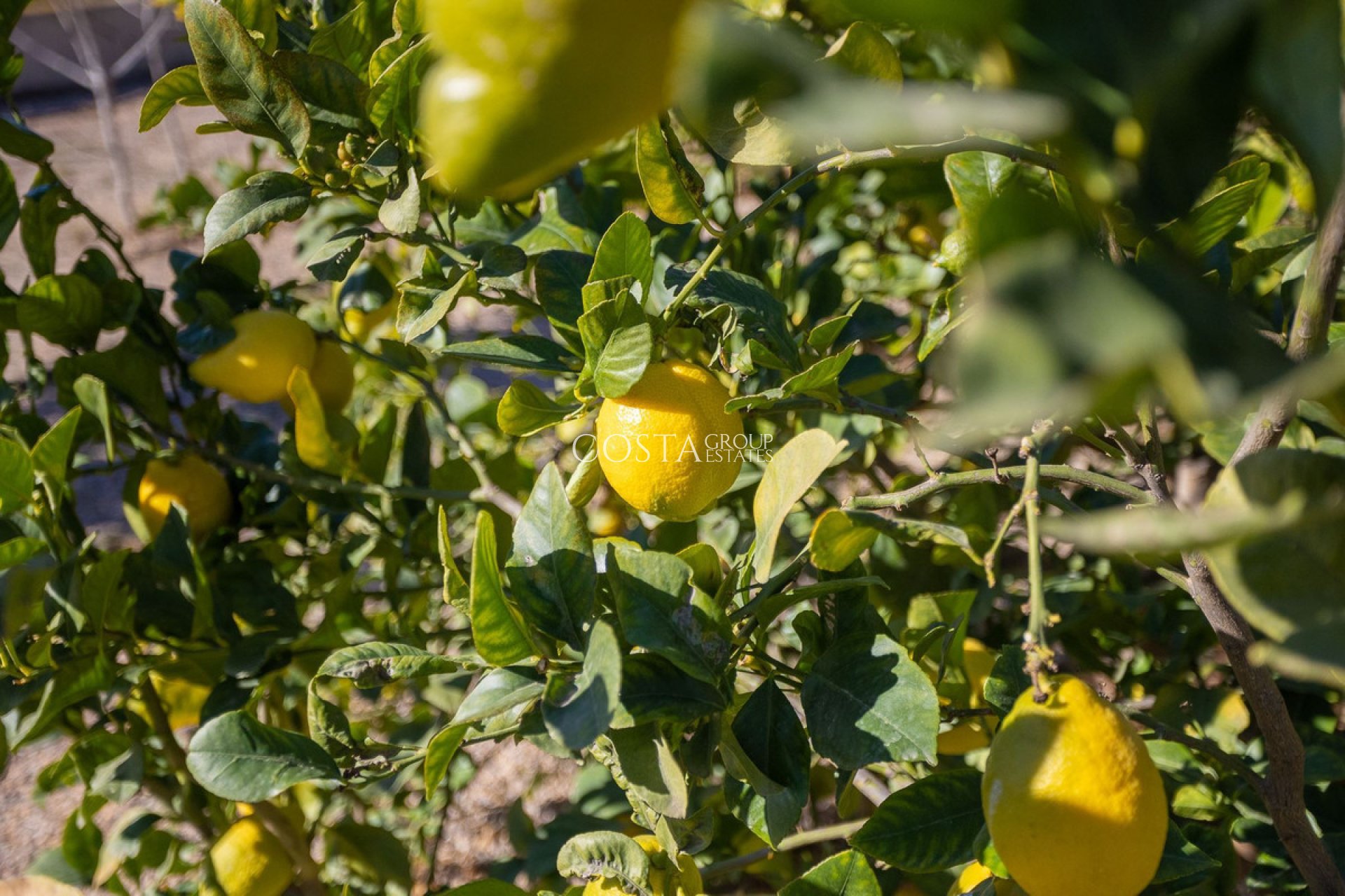 Odsprzedaż - Willa -
Murcia - Corvera