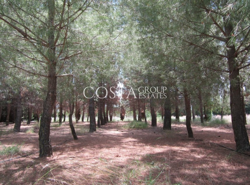 Odsprzedaż - Willa -
Yecla - Yecla Centro