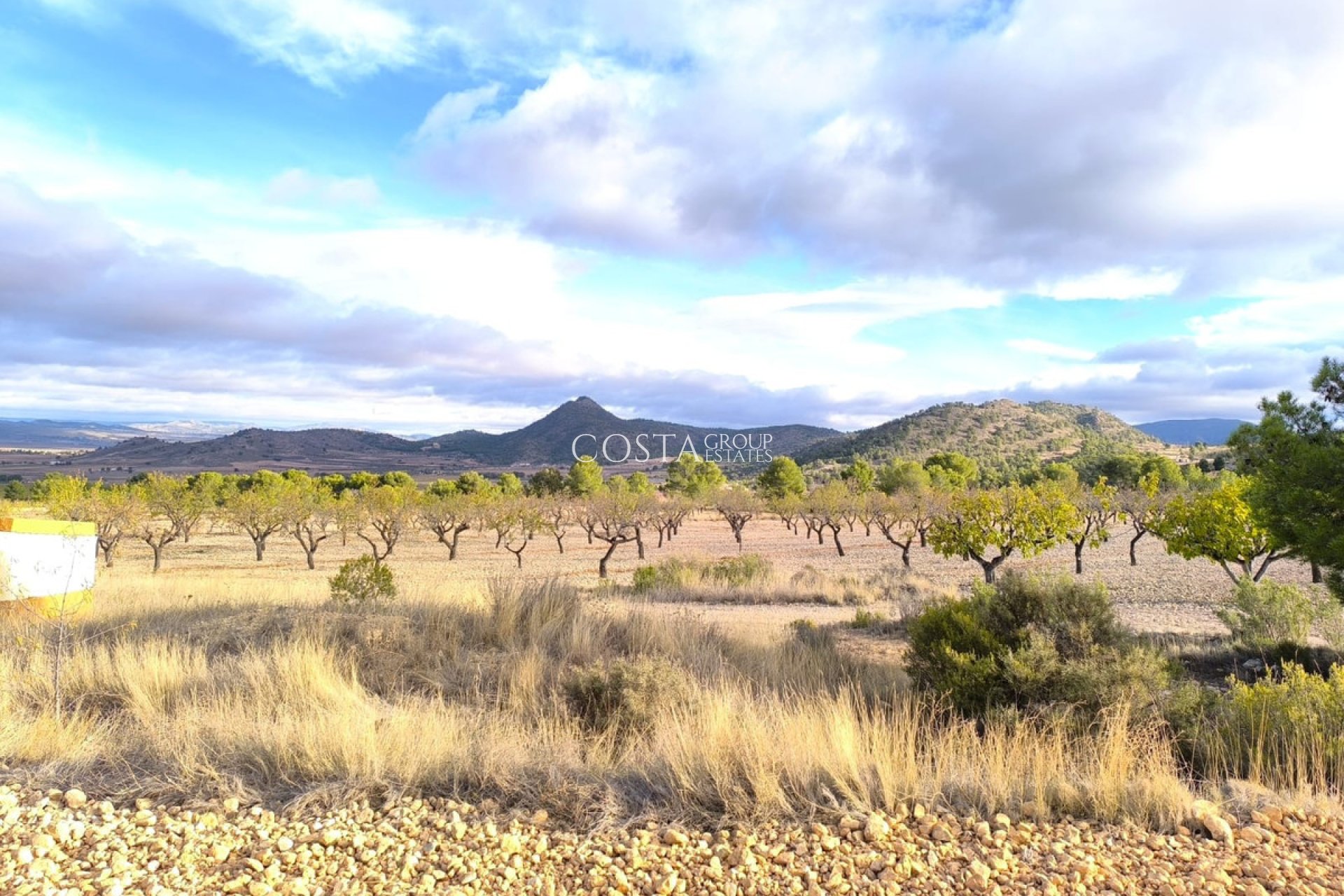 Odsprzedaż - Willa -
Yecla - Yecla Centro