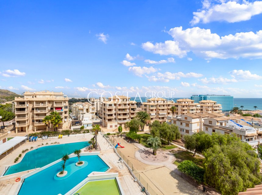 Resale - Apartments -
Guardamar del Segura