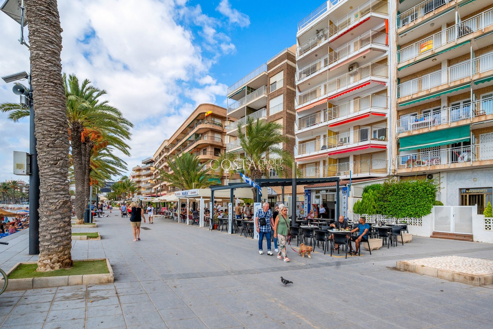 Resale - Apartments -
Torrevieja - Torrevieja Centro